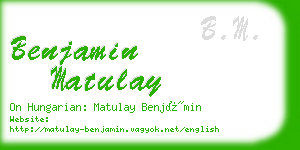 benjamin matulay business card
